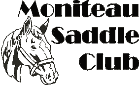 saddle club logo