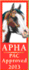 APHA PAC Logo