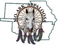 MO Ark Logo