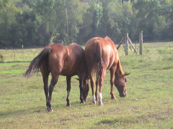 Patti and Friend